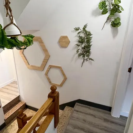 Amplia Casa De 9 Hab, Cabral. *