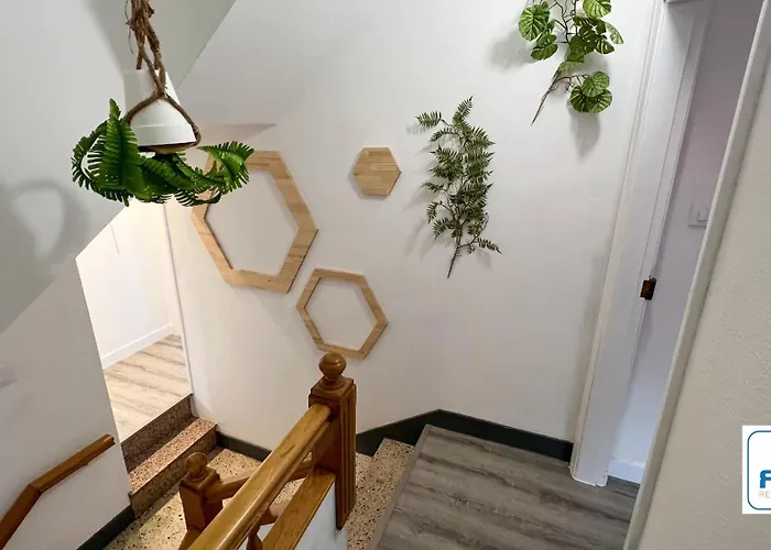 Amplia Casa De 9 Hab, Cabral. *